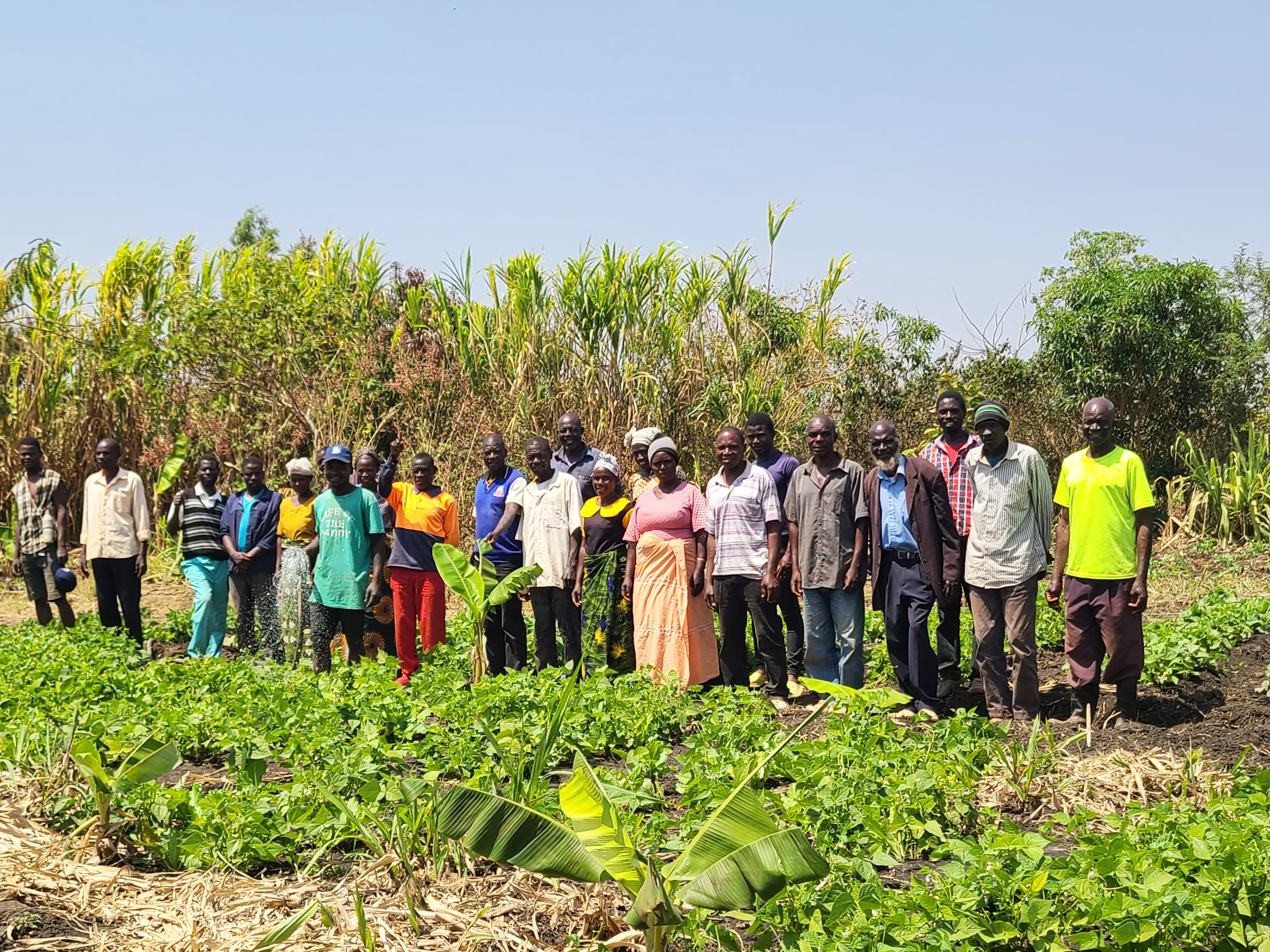 Permaculture & Sustainable Farming