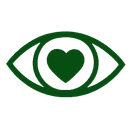 Our Vision icon